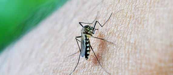 0fb65d430a08b5f94bacb8d0f28c4f26