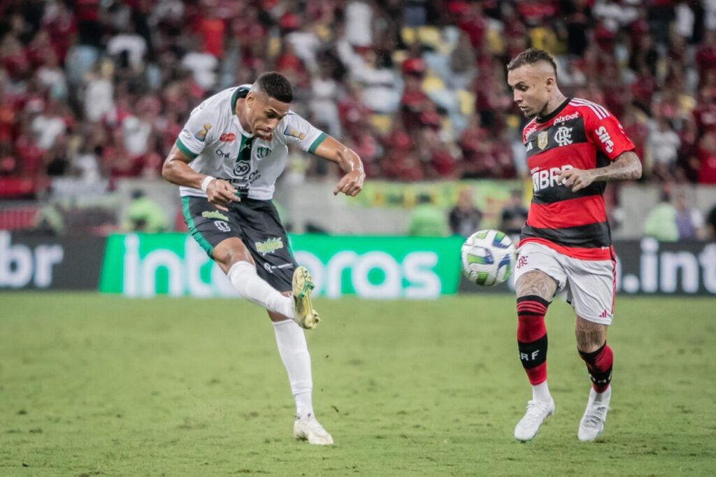 1ce1a80f1ed7a033117a_342863