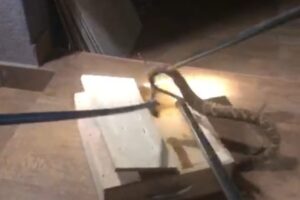 Screenshot_20240111_091553_WhatsApp