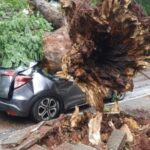 WhatsApp-Image-2024-01-05-at-16.33.18