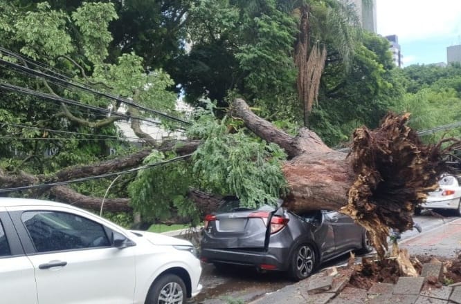 WhatsApp-Image-2024-01-05-at-16.34.47