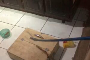 WhatsApp-Image-2024-01-10-at-14.01.06