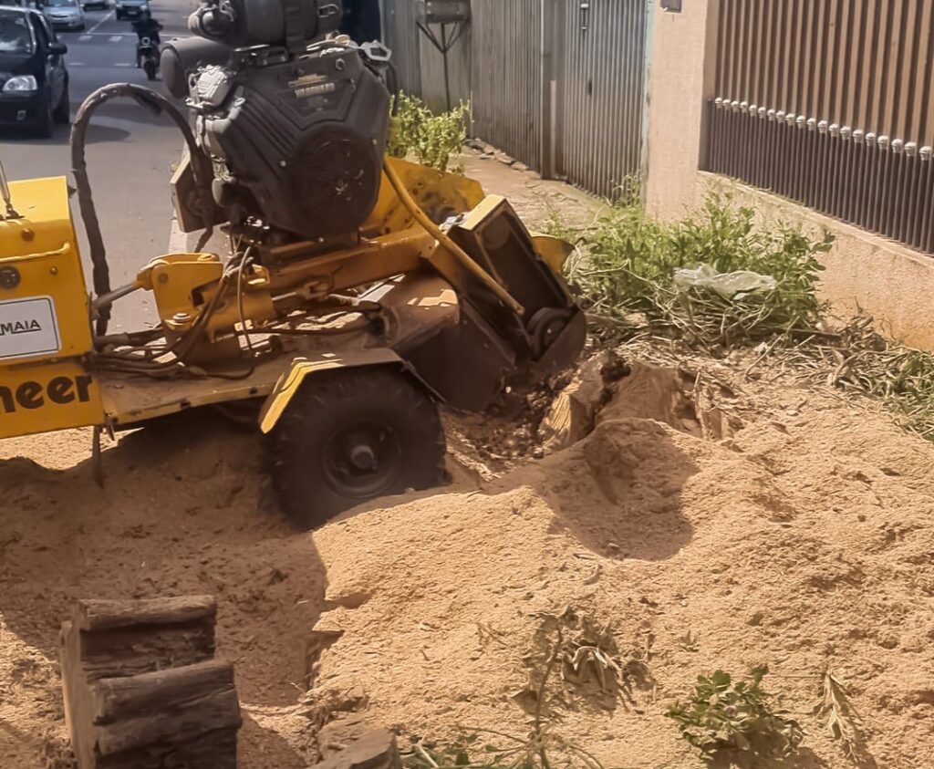 WhatsApp Image 2024-01-15 at 16.55.29