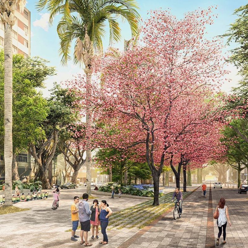 prefeiturademaringa_1705868275_3285383676291489336_1682037323