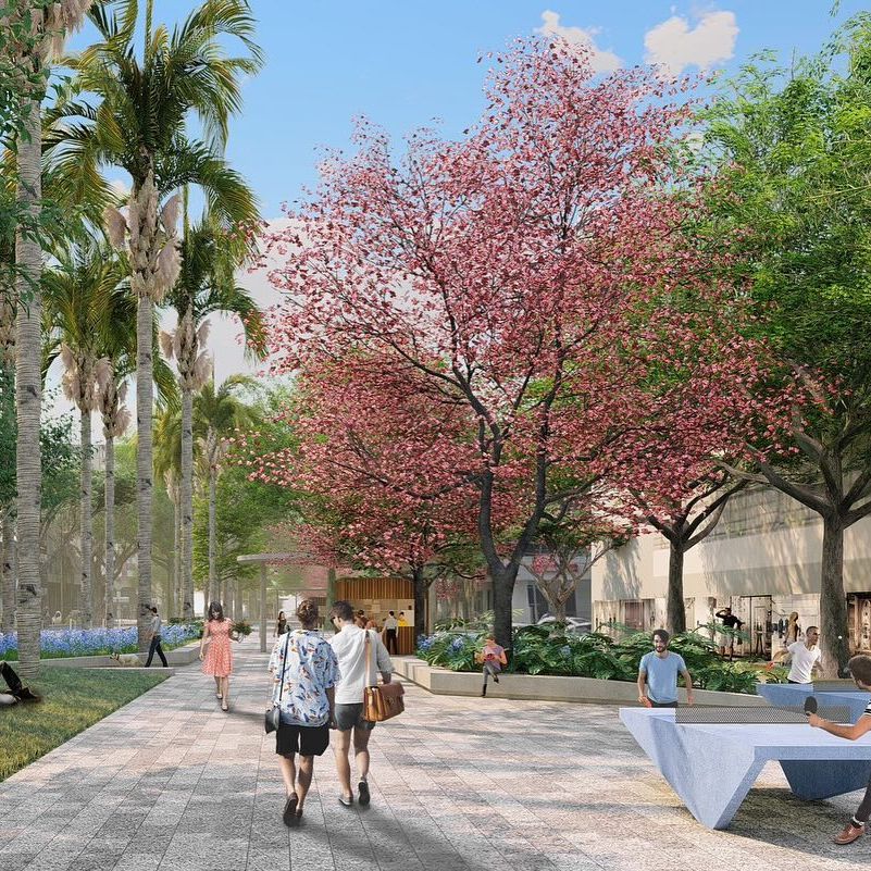 prefeiturademaringa_1705868275_3285383676308304380_1682037323