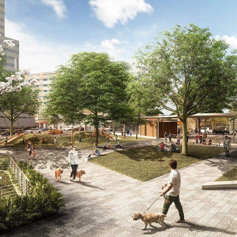 prefeiturademaringa_1705868275_3285383676358585007_1682037323