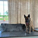 WhatsApp-Image-2024-02-28-at-07.39.40