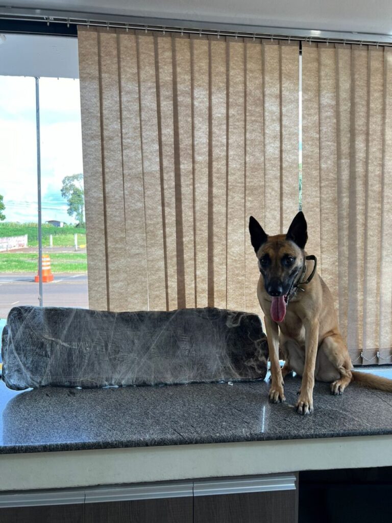 WhatsApp-Image-2024-02-28-at-07.39.40