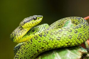 alfonso-castro-HaGwCk2AD84-unsplash-1