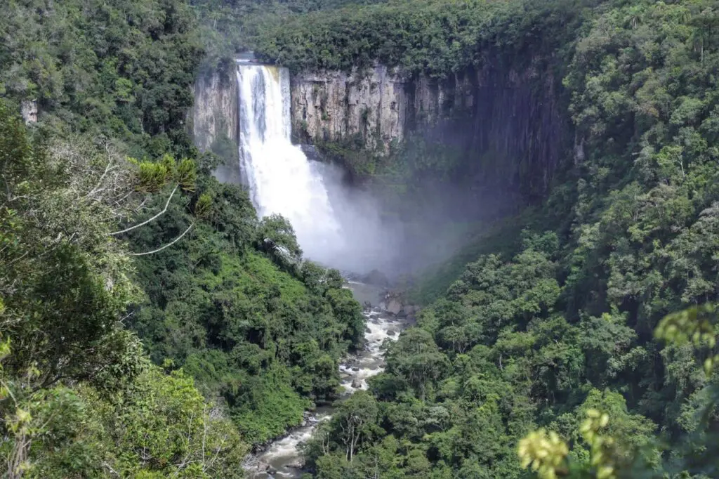 image-66-9