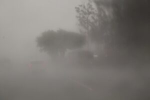 20211001112631__MG_713401