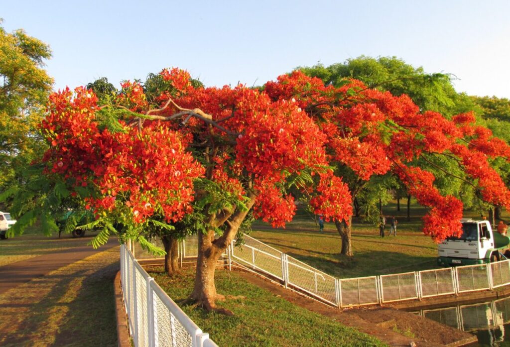 430112850_948689516842465_3542344005694092832_n