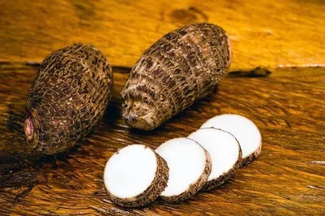 Prefeitura-teria-indicado-suco-de-inhame-para-trat-00847001-0-202403200937-ScaleDownProportional