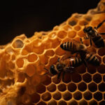bees-honeycomb-that-is-made-by-beehive