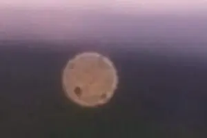 bola-500×295-1