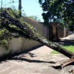 dcb9b6a7d695a318898eac755a96affd