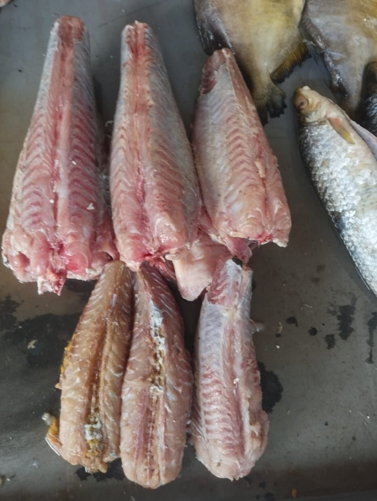 editor-65e5ae055e80f