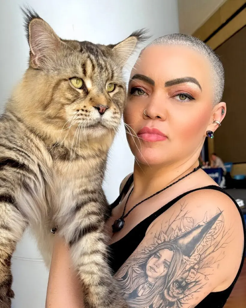 felinafolia_1709793806_3318313419089343635_191774843