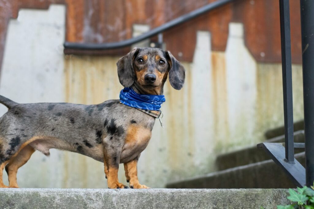 katie-bernotsky-zV3eqGQYVpc-unsplash