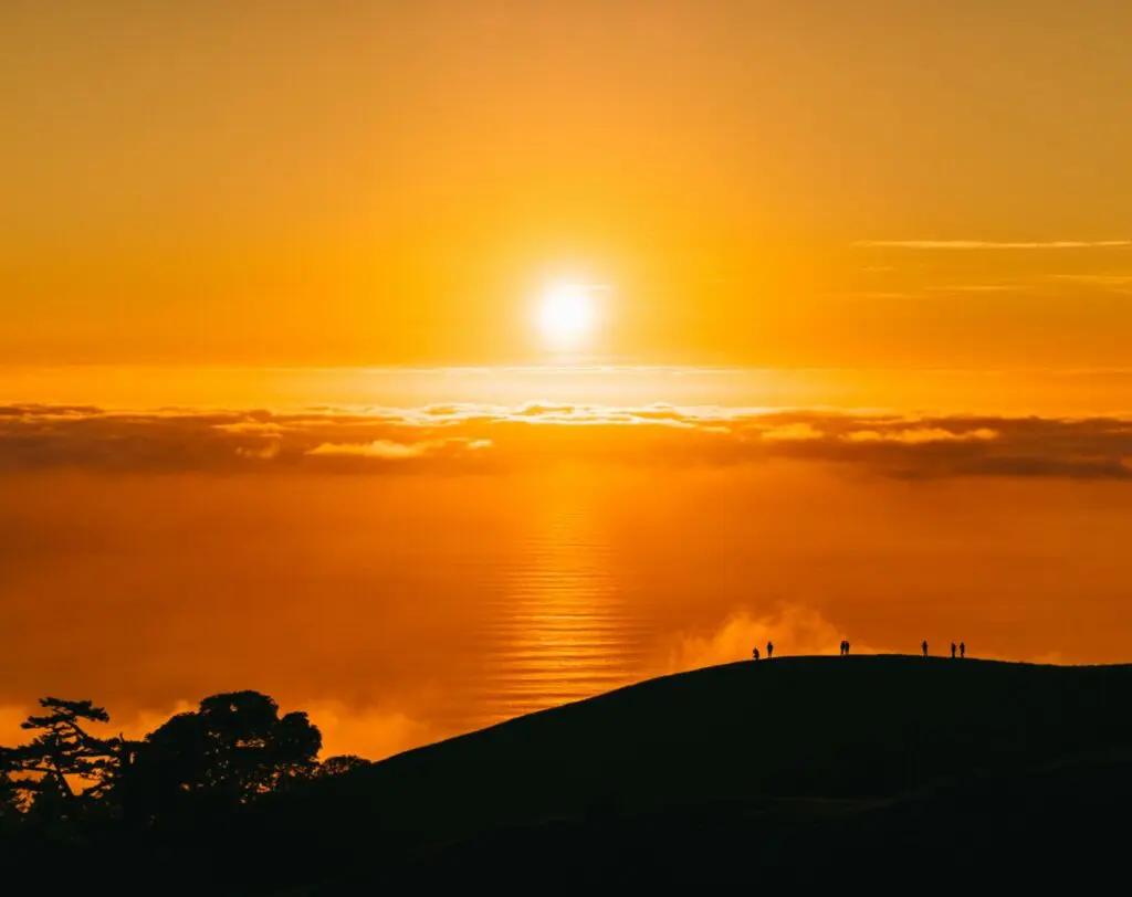john-towner-CakC6u4d95g-unsplash-1