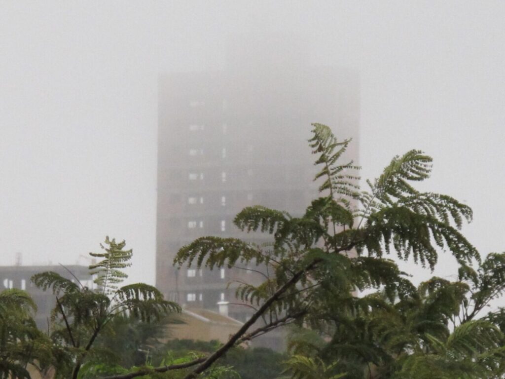 444455785_7749284508444312_1868539527380455044_n