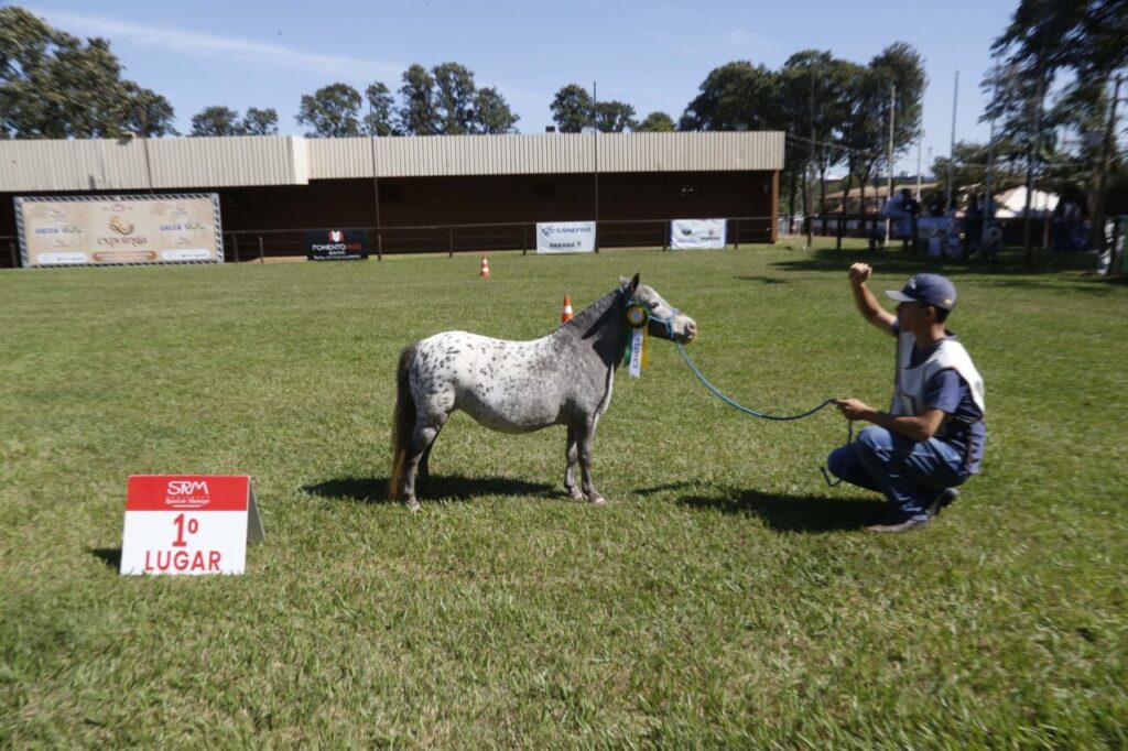 53714354349_60935fb7ef_k