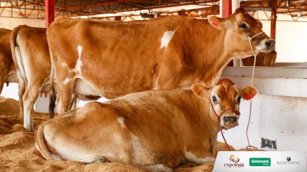 Design sem nome (15)