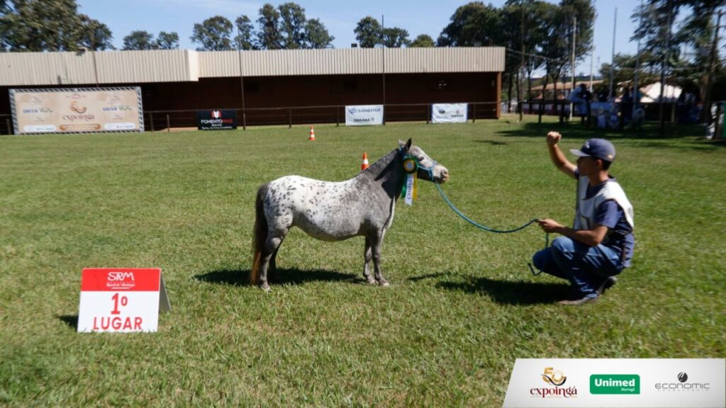 Design sem nome (27)