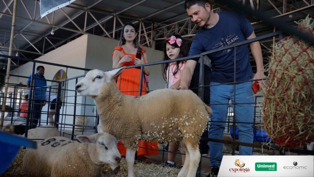 Design sem nome (36)