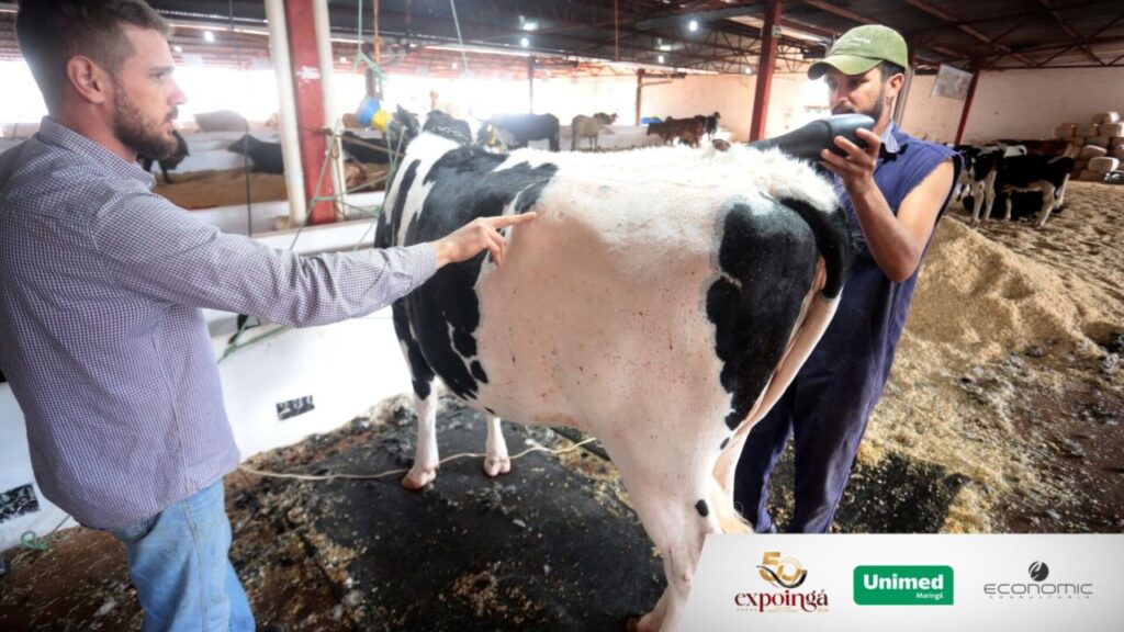 Design sem nome (59)