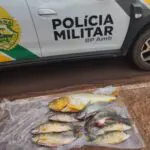 WhatsApp-Image-2024-05-23-at-17.17.31