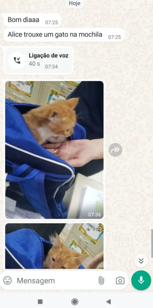 WhatsApp-Image-2024-05-24-at-09.38.59-1