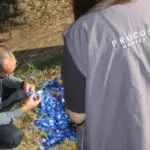 1b815aac44877a9d9cf5b55a28f208ea