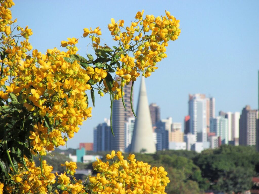 447780627_1003195384725211_7712793339053630494_n