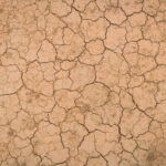 Dry and cracked ground texture .