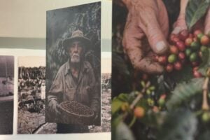 Produtores de café têm lucrado ao abrir as porteiras das propriedades aos turistas