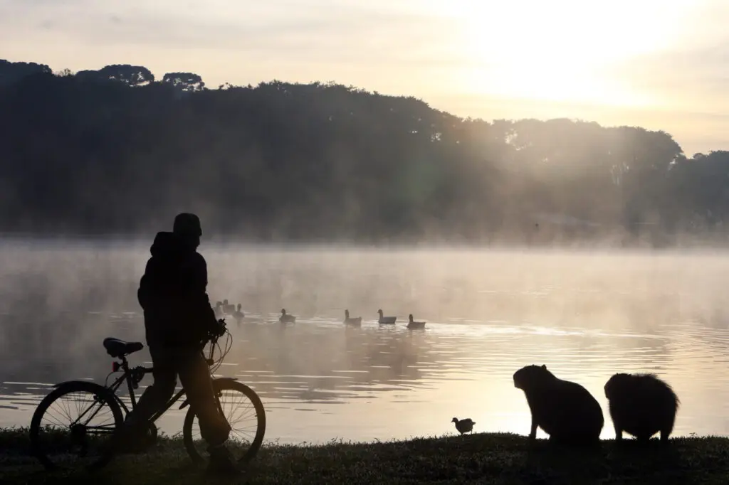 Frio em Curitiba, 2016.
Foto: Orlando Kissner/ANPr