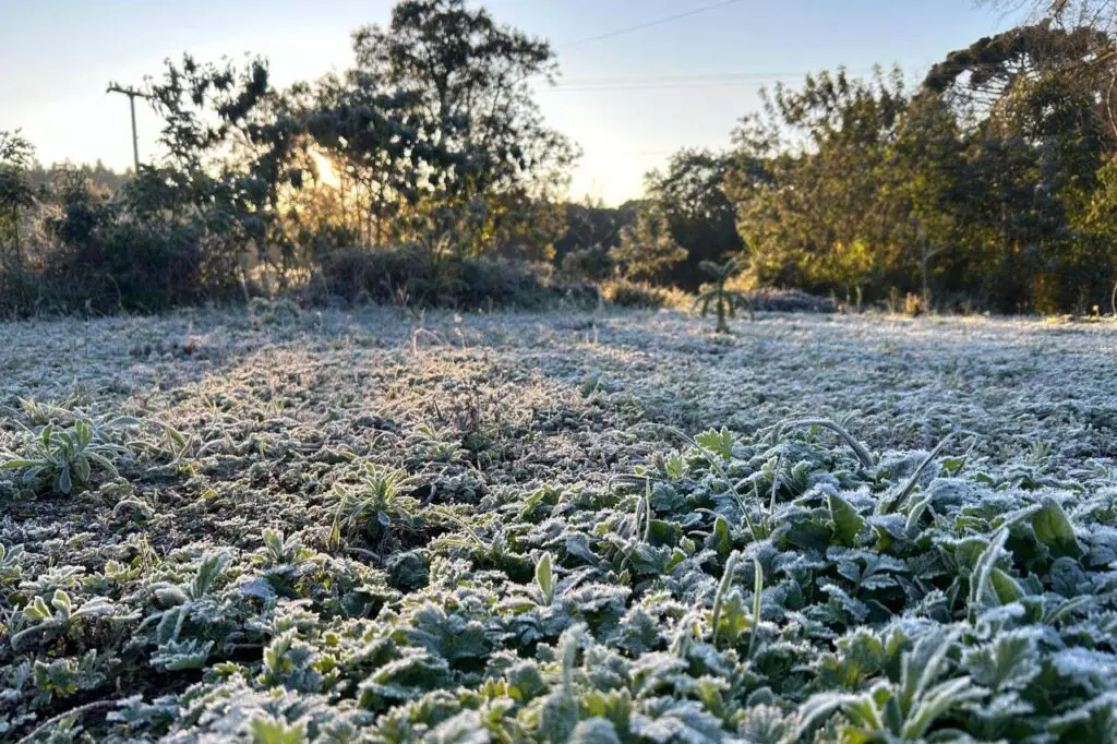 anticiclone trouxe frio ao paraná