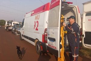 colisao-com-cavalo-em-rua-de-sarandi-deixa-duas-pessoas-feridas-e-animal-morto