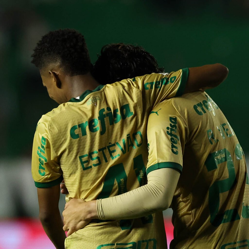 palmeiras_1729470516_3483373611051092157_288523451