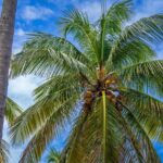 pexels-nc-farm-bureau-mark-15114314