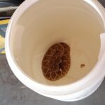 WhatsApp-Image-2024-11-26-at-08.23.08-1