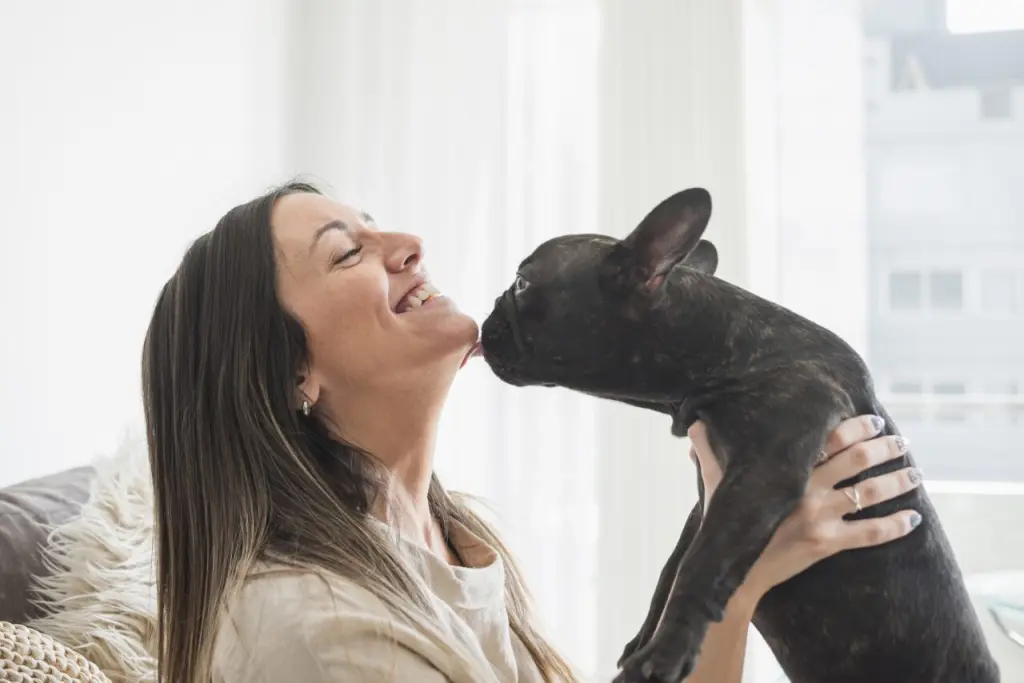 front-view-young-girl-with-her-doggie