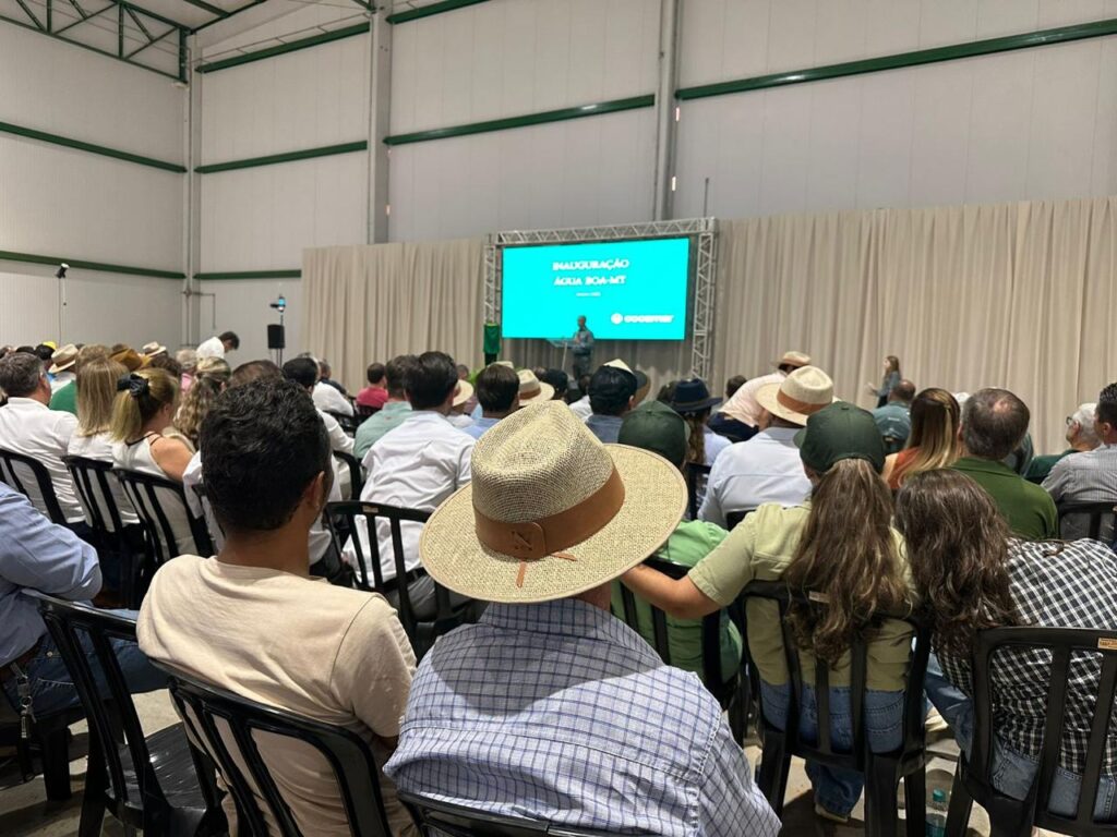 WhatsApp Image 2025-01-21 at 10.38.41 (1)