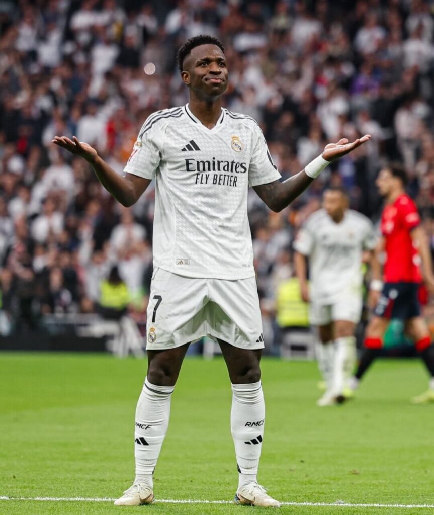 vinijr_1731166578_3497601225027420220_257901482