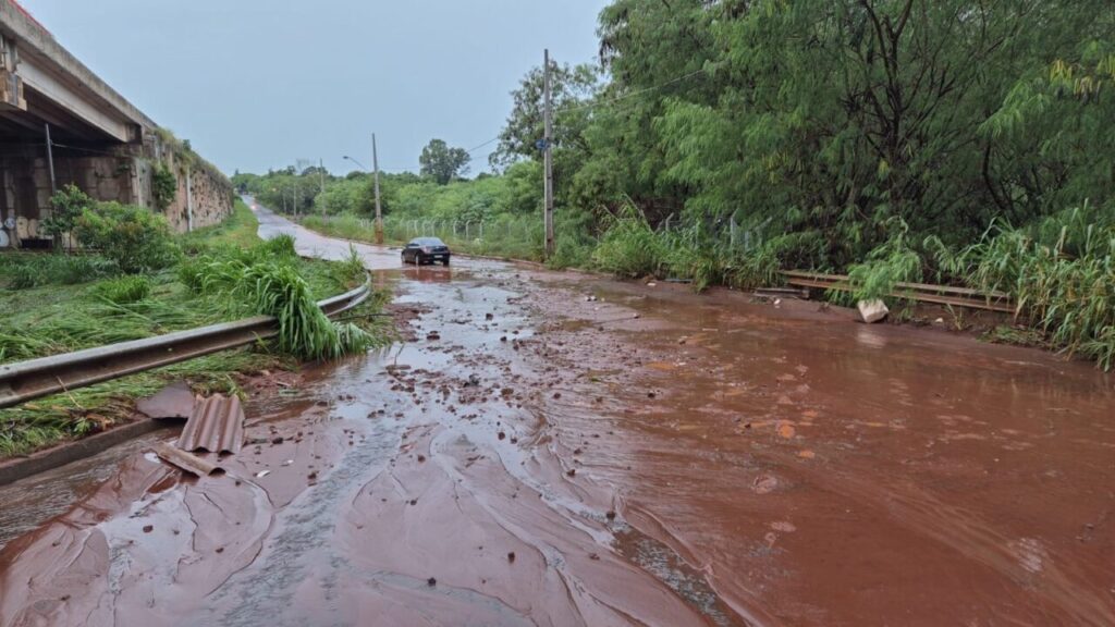 Imagem do WhatsApp de 2025-02-18 à(s) 16.45.01_781c4cd9