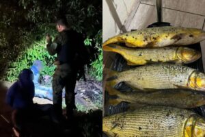 pesca ilegal
