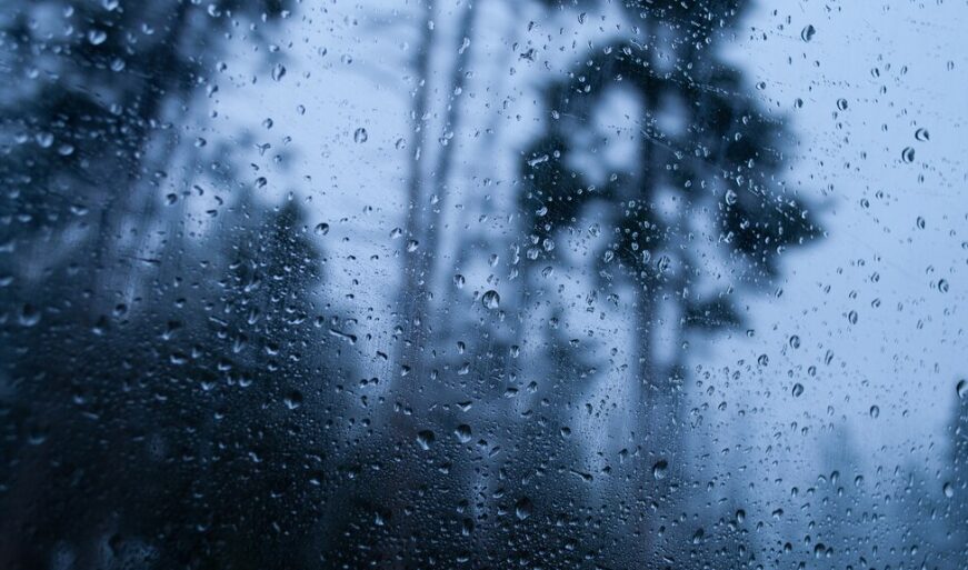 Captura de tela 2025-03-13 112258