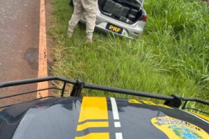 PRF apreende mais de meia tonelada de maconha em Iguaraçu