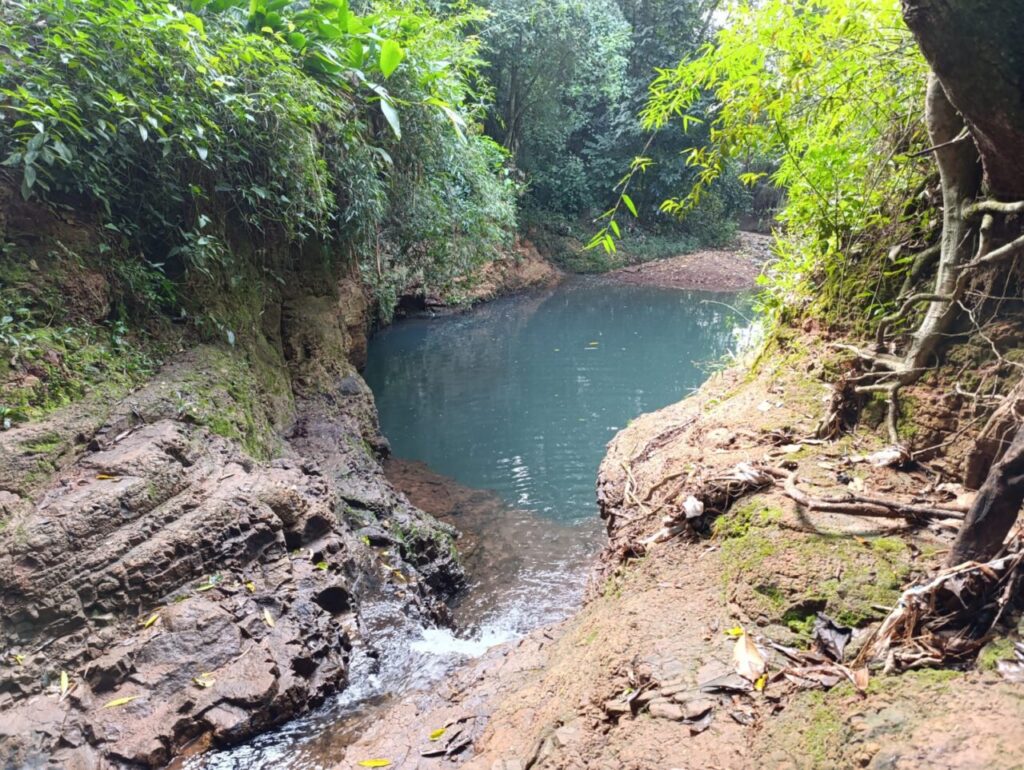 WhatsApp Image 2025-03-13 at 13.35.50